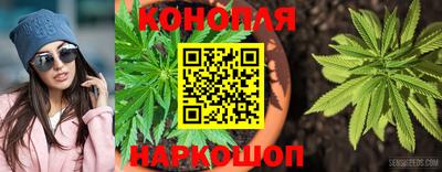гашик Партизанск