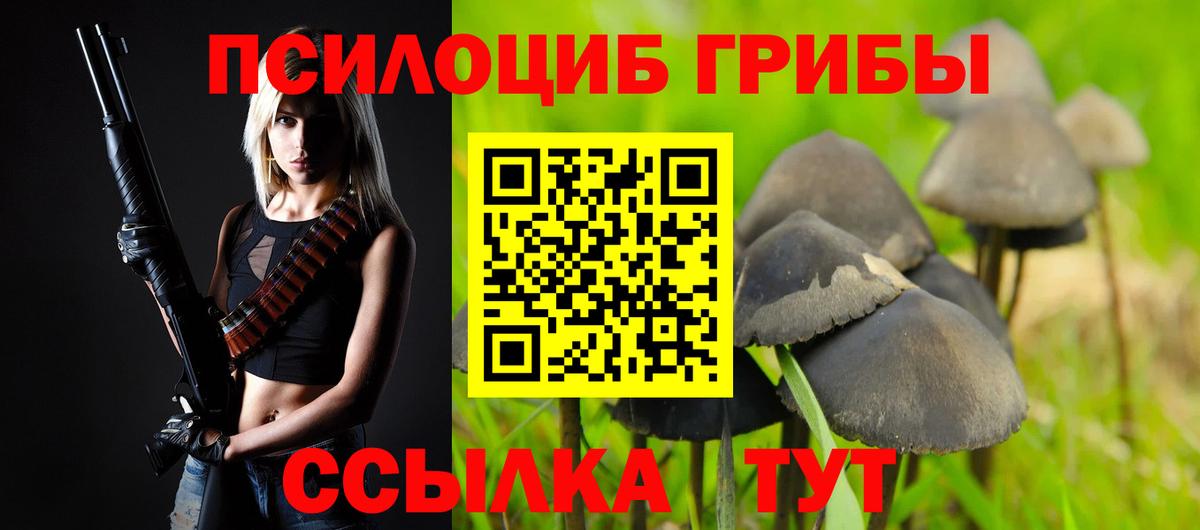 Галлюциногенные грибы прущие грибы  Псилоцибиновые грибы ЛСД  закладки  Ртищево  Вход с VPN 